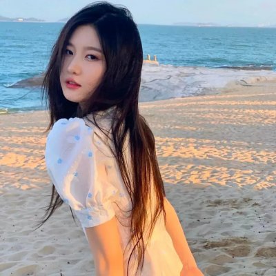 王牌保镖之疾速追击